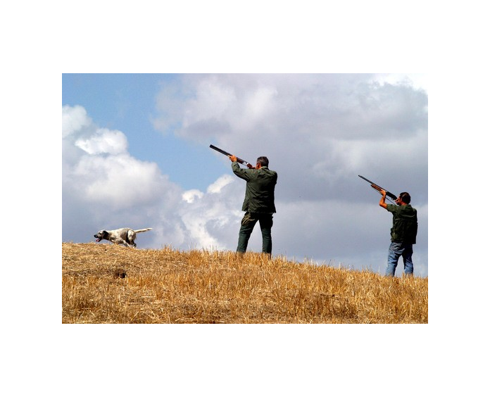 Richiesta foglio venatorio annata 2023-2024