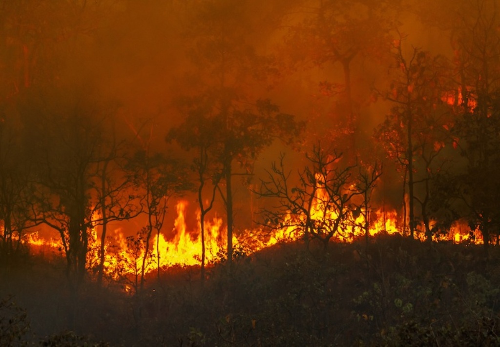 PRESCRIZIONI COMUNALI ANTINCENDIO E DI IGIENE PUBBLICA ANNO 2024