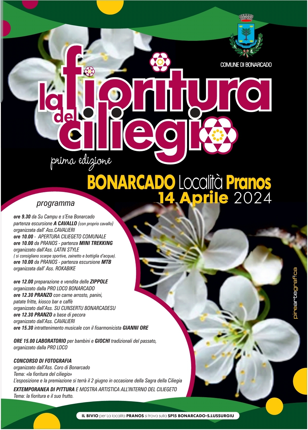 FESTA DELLA FIORITURA DEL CILIEGIO