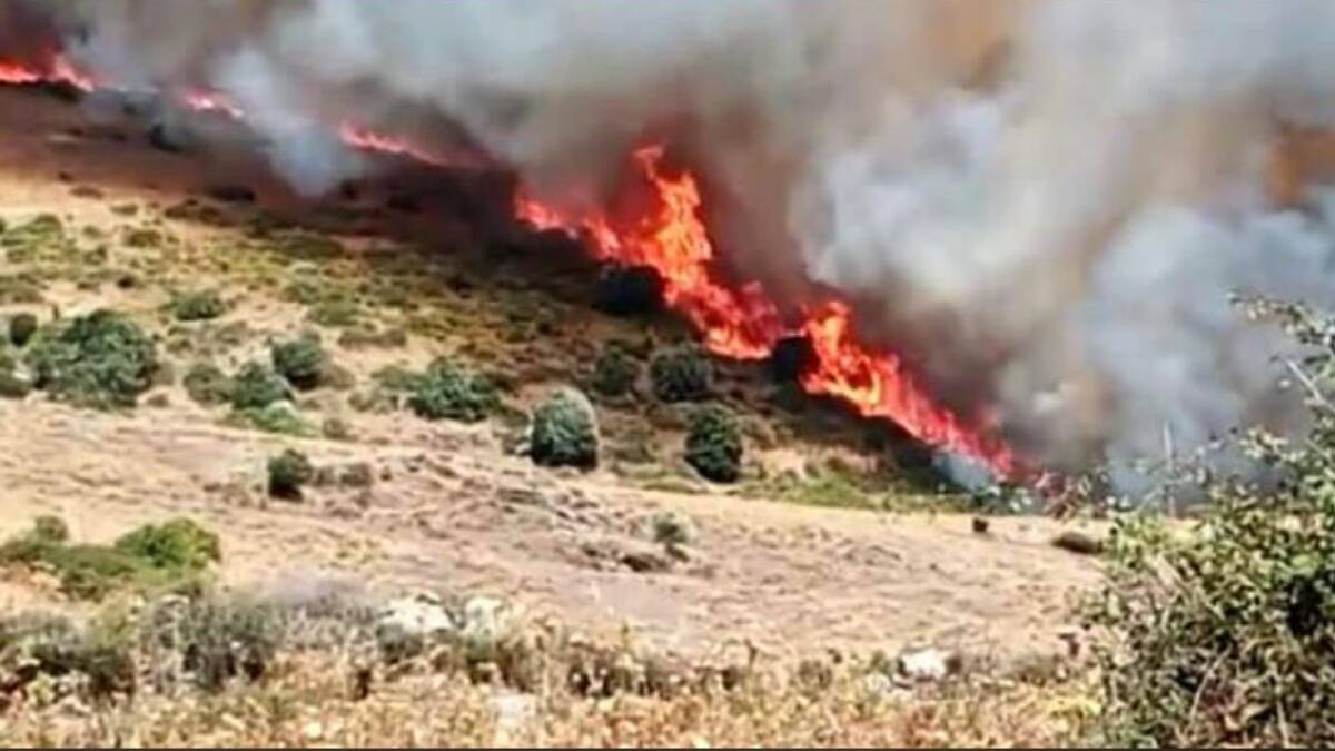 Vademecum Campagna Antincendi 2022