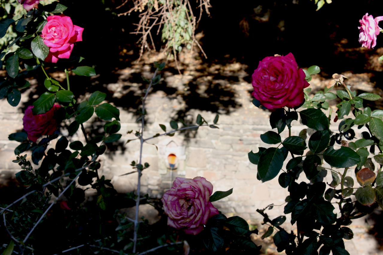 Parco di Funtana Lauru